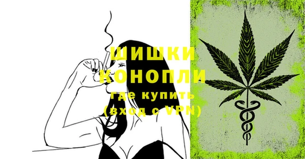 прущая мука Инта
