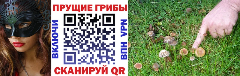 Купить где  Данилов  Галлюциногенные грибы прущие грибы 